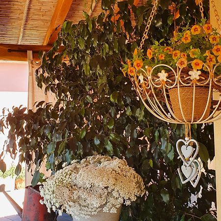 B&B La Vela Кіа Екстер'єр фото